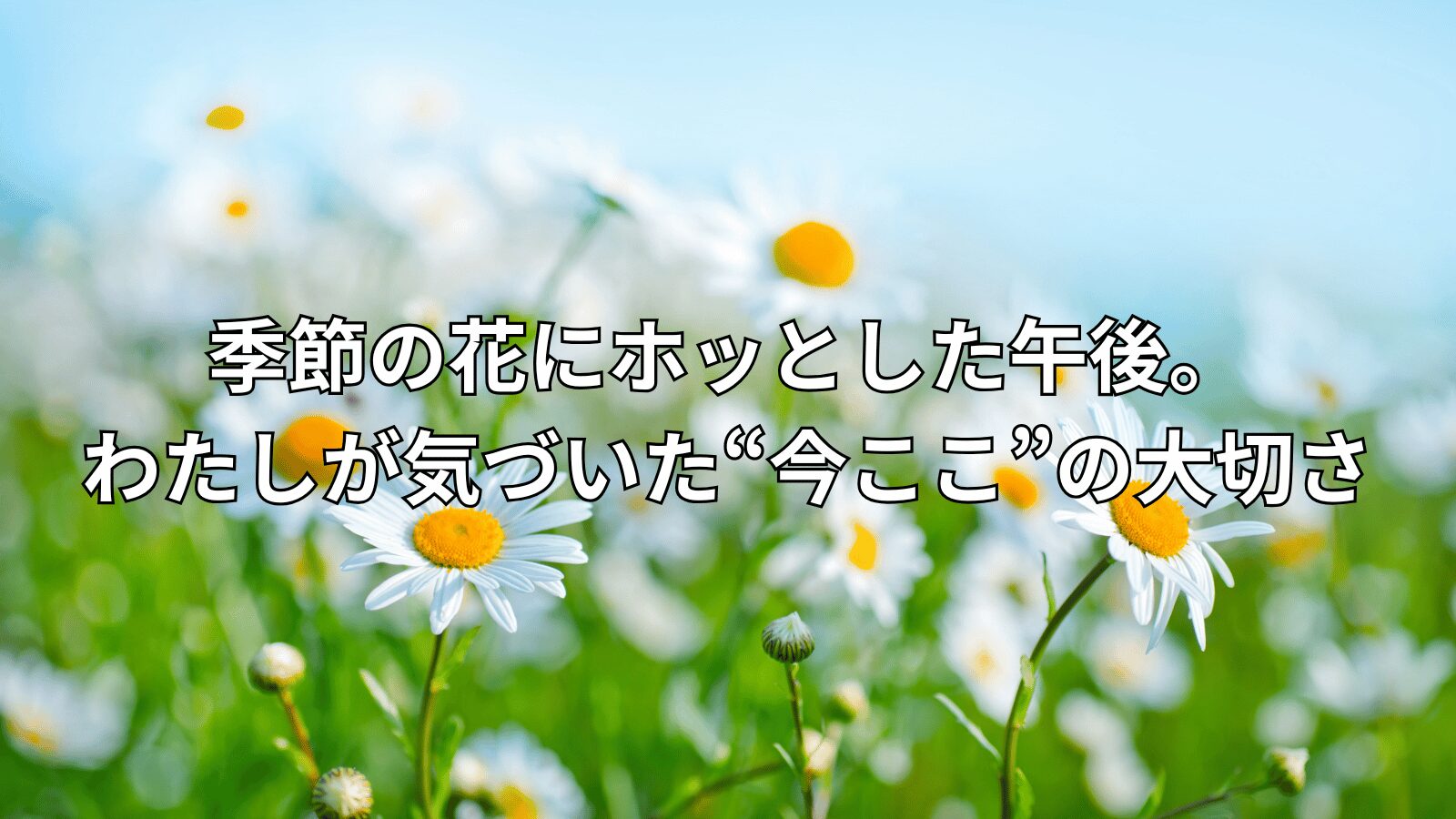 季節の花にホッとした午後。わたしが気づいた“今ここ”の大切さ