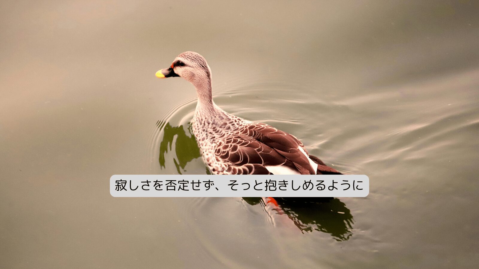 寂しさを否定せず、そっと抱きしめるように