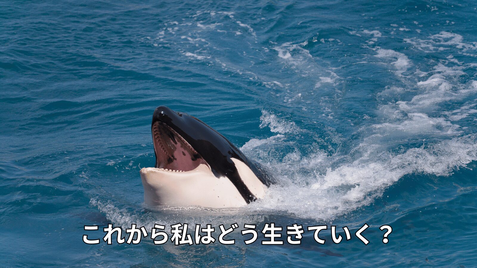 これから私はどう生きていく？